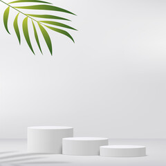 Abstract studio room with white color pedestal podium and leaves. Vector