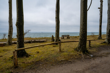 Ostsee Gespensterwald Niendorf Rostock Warnemünde Strand Bäume Meer Salzwasser Küste Brandung...