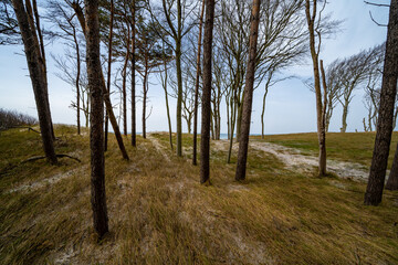 Prerow Weststrand Zingst Darß Ostsee Rostock Warnemünde Strand Bäume Meer Salzwasser Küste Brandung Steilküste Wolken Gezeiten Himmel Wolken Stralsund Sonnenaufgang Sonnenuntergang Boot Leuchtturm