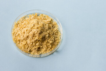 Nutritional yeast in Petri dish on blue background