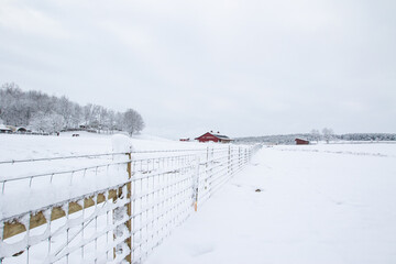 Snow Covered Woven Wire Fence in Winter with a Small Red Barn in Background