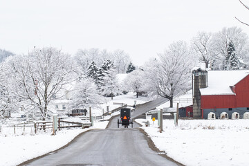 Amish Horse and Buggy Driving Away from Camera on a Snowy Road in Winter Near a Red Barn - obrazy, fototapety, plakaty