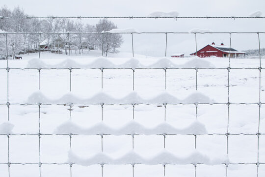 Snow Covered Woven Wire Fence in Winter with a Small Red Barn in Background