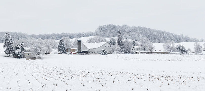 Amish Farm in Winter | Holmes County, Ohio