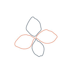 Vector contour of flower on white background