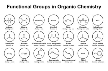 Functional Groups in Organic Chemistry. Vector Illustration. - obrazy, fototapety, plakaty