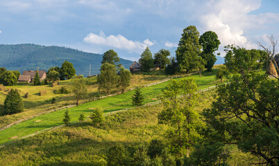 Fototapeta na wymiar Picturesque summer Carpathian mountain countryside, Ukraine.