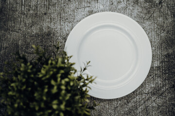 white empty plate on stone with green plant