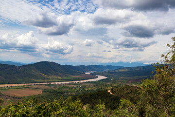 Ecosystem of natural life with the Huallaga river in the background, in the Amazon of Peru.