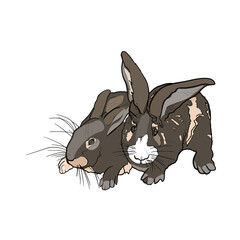 
Vector illustration of two rabbits. Isolated drawing of a hare as an emblem, logo, blank for designers
