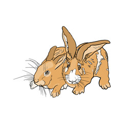 
Vector illustration of two rabbits. Isolated drawing of a hare as an emblem, logo, blank for designers