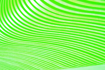 Abstract background and beautiful texture of bright green curved slats.