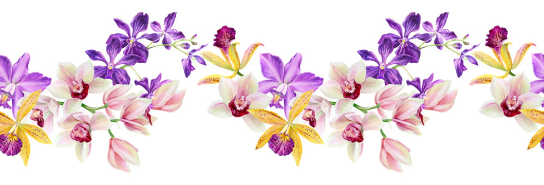 Horizontal seamless border of watercolor flowers. Floral background. Colorful orchids. Hand-drawn illustration for greeting card, invitation, scrapbooking.