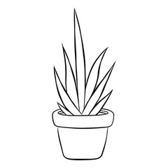 Outline drawing of a plant in a pot. Simplified image of aloe vera.