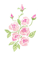 Fototapeta premium set of pink roses