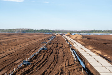 Landscape view of peat bog moss turbary. Photo taken on a warm overcast spring day. Latvia.