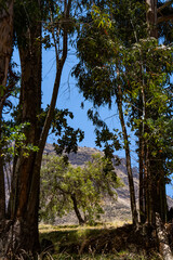 Fototapeta premium sierra de Lima, Huarochirí. Andes peruanos