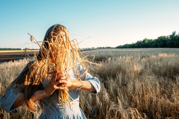 Ukrainian Young woman holding wheat crop on field during sunny day. Faceless portrait of unrecognizable mindful female in cotton dress among spikes in countryside
