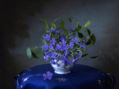 Still life with bouquet of periwinkle flowers