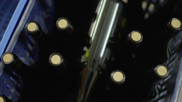 Top view corked unlabeled bottles in box indoors close-up. High-quality wine on production line on factory. Alcohol industry concept