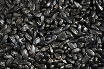 natural organic sunflower seeds. background or food texture.