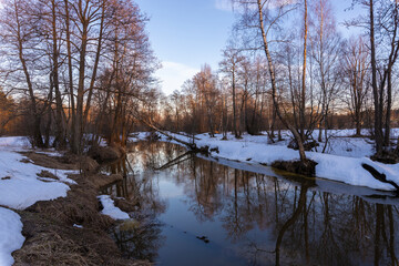 Mystical winter landscape near the river. The trees are illuminated by the rays of the setting sun.