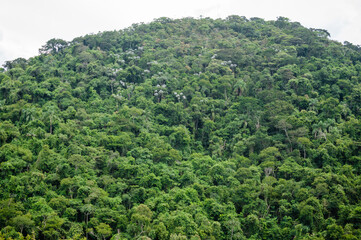 A vegetação densa e  exuberante natureza das montanhas pelo interior de Minas Gerais