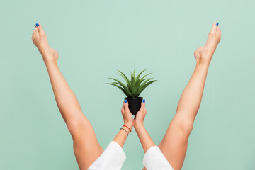 Woman lifted her beautiful legs apart, holding a prickly plant between her legs. Green background. The concept of hair removal, depilation, epilation and shaving
