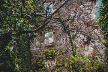 VIews of Kotor from the Ladder of Kotor in Montenegro