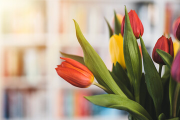 Spring flowers in glass vase. Blurred library background. Bouquet of tulips. Tulips close up. Colorful tulips in vase.