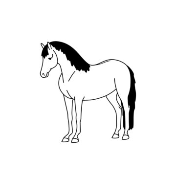 Cute horse stands quietly, painted in minimalism style