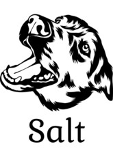 Salt Black White Vector suitable for logo