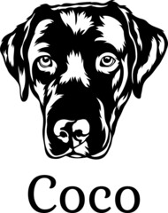  Coco Black White Vector suitable for logo