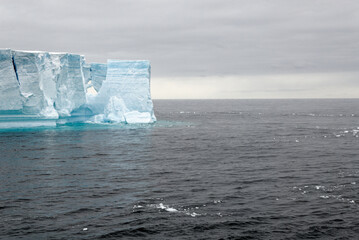 Antartica - Tabular Iceberg in Bransfield Strait