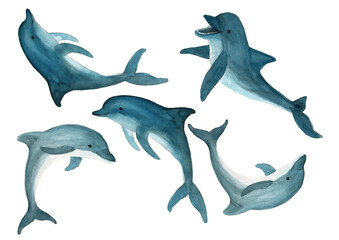 Dolphin cartoon set illustration isolated on white background. Watercolor drawing of underwater animals.
