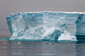 Antartica - Tabular Iceberg in Bransfield Strait