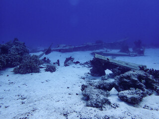 Japanese Zero fighter, Zerosen, in Saipan underwater sea