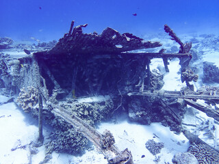 Japanese Zero fighter, Zerosen, in Saipan underwater sea