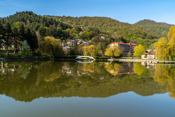 Fototapeta premium Small bridge cross over the small lake in Dilijan city park