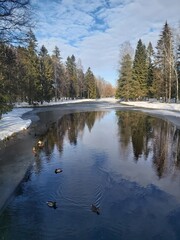 lake in winter