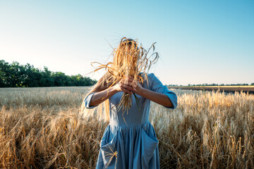Ukrainian Young woman holding wheat crop on field during sunny day. Faceless portrait of unrecognizable mindful female in cotton dress among spikes in countryside