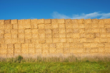 A tall wall of stacked haybales in the landscape