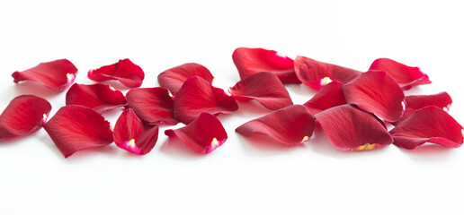 Red rose petals on a white background