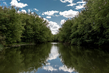Fototapeta na wymiar River in the forest in the Penza region