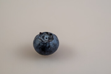 macro shot of a single blueberry against a light background