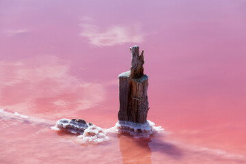Pink Lake. Reflection of clouds from the water surface. An old wooden support. Design element. Selective focus, copy space