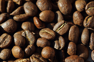 coffee beans background.