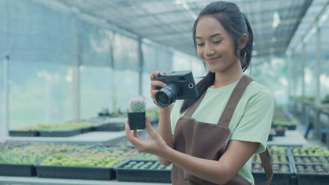 Business concept of 4k Resolution. Asian woman taking pictures of cactus in the garden. using a digital camera.