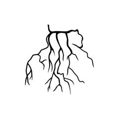 Vein blood system. Artery silhouette. Anatomical Sybol. Vector illustration