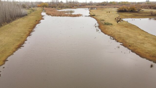 Hombre llevando vacas en la Patagonia